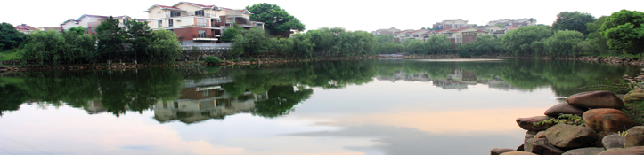 &#121;&#104;&#56;&#54;&#38134;&#27827;